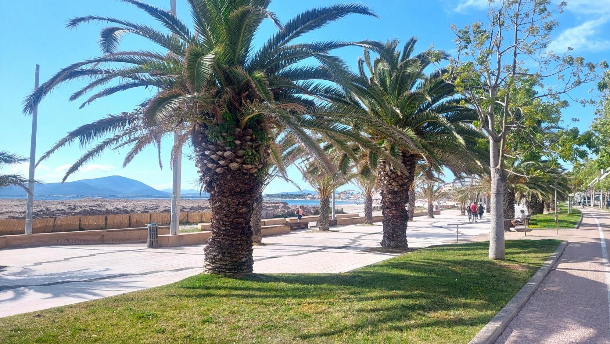Lovealghero Stanze In Attico Vista Mare Exterior foto